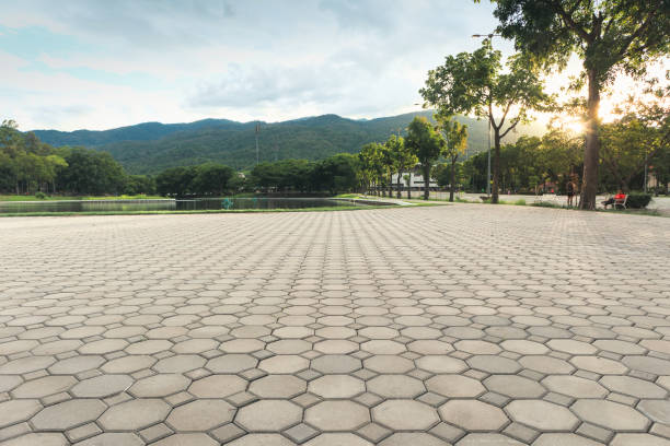 Best Interlocking Driveway Pavers  in Princeton, NJ